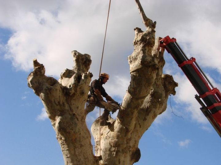 Démontage des charpentières