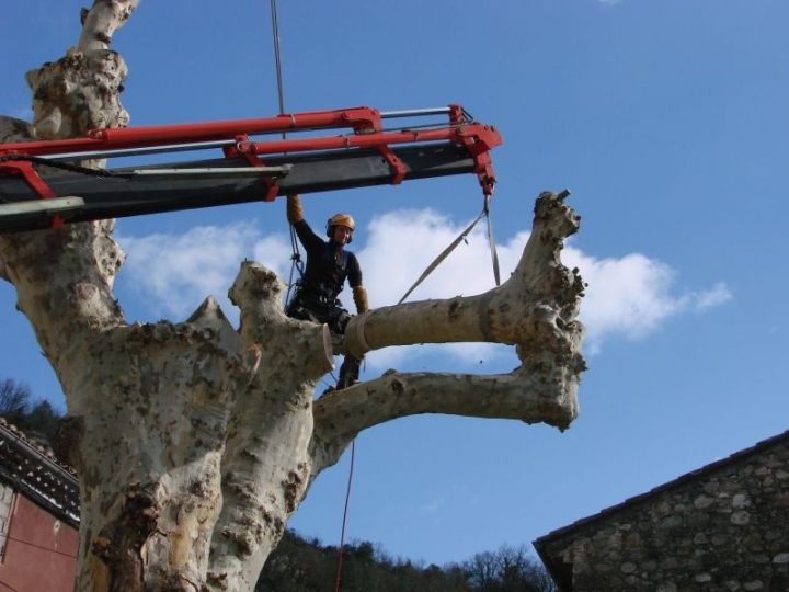 Démontage platane Vogüe - Attention à la toiture