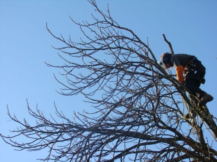 Déplacement en bout de branche