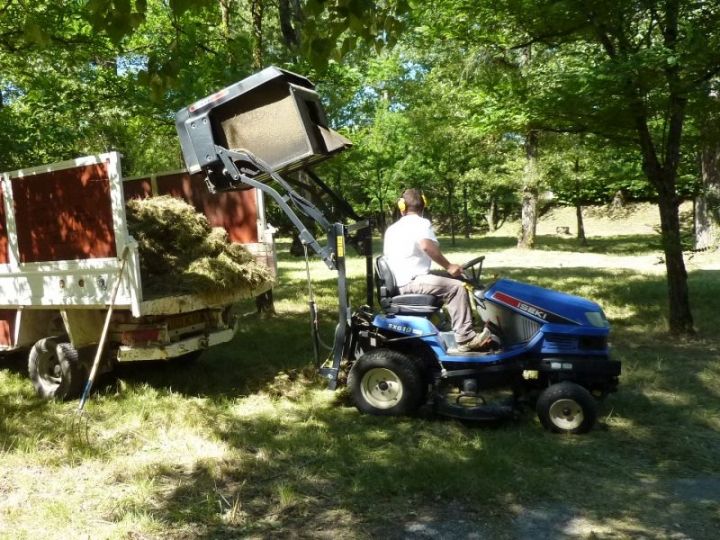 Le tracteur tondeuse vide son chargement directement dans la benne du camion