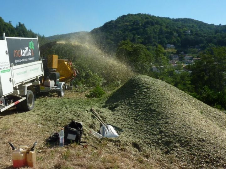 Les branchages sont broyés-sur-place-119