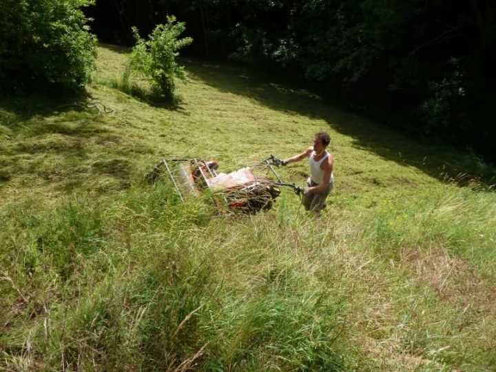 Tonte prairie Villefort - Entretien de prairie en pente