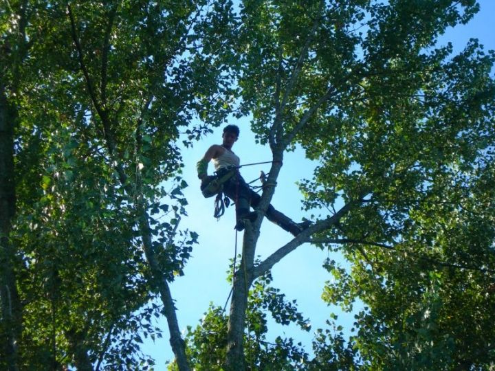 Un grimpeur dans son milieu naturel